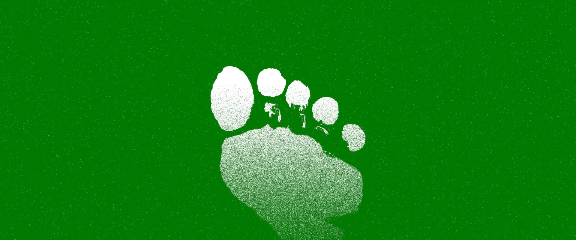 Reduce Your Carbon Footprint: Tips for Choosing a Sustainable Car Shipping Company
